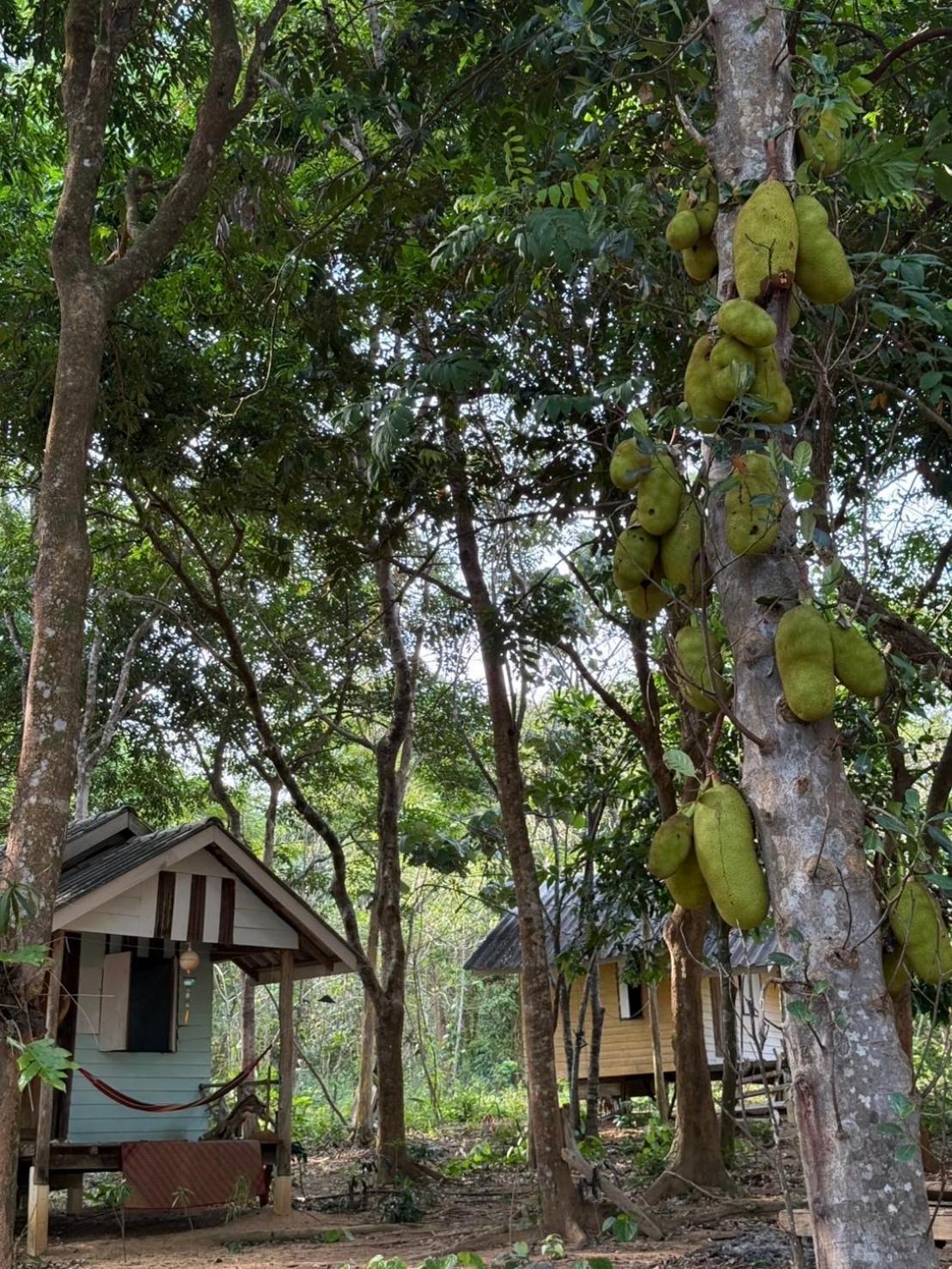 Eternal Forest Beach Bar&Bungalow Koh Chang Ranong Exterior foto